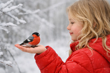 Similar image 22478503