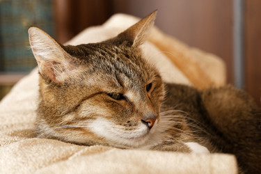 Similar image 22497560