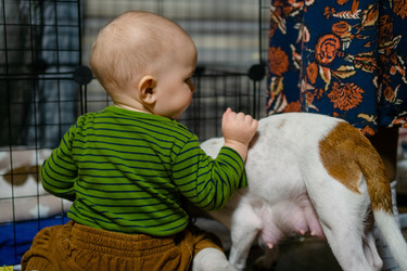 Similar image 22490166