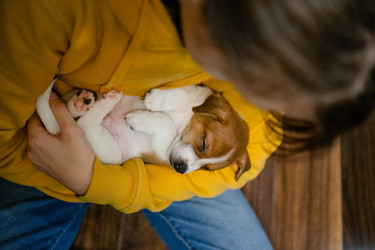 Similar image 22490171