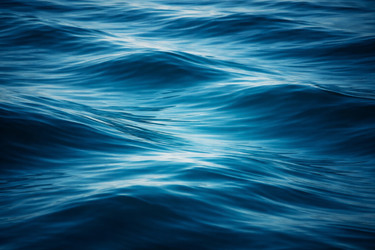 Similar image 22478509