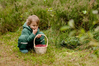 Similar image 22490103