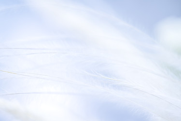 Similar image 22477457