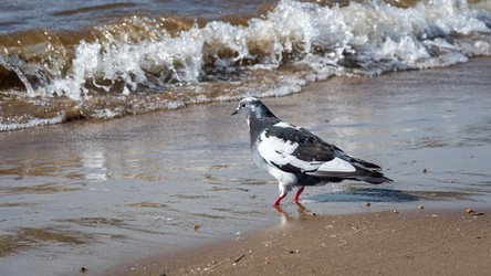 Similar image 22519018