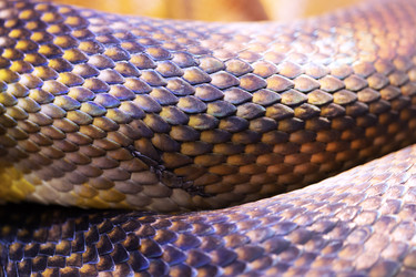 Similar image 22501938