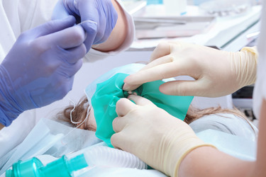 Similar image 22501954