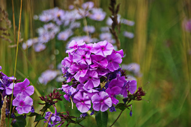 Similar image 22562400