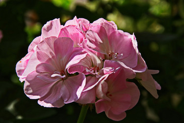 Similar image 22562401