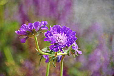 Similar image 22562402