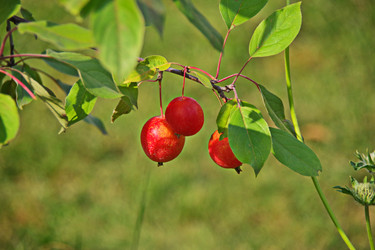 Similar image 22562403