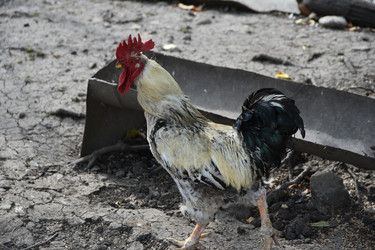 Similar image 22477861