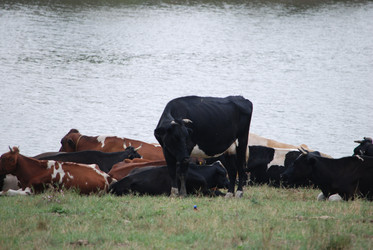 Similar image 22477862