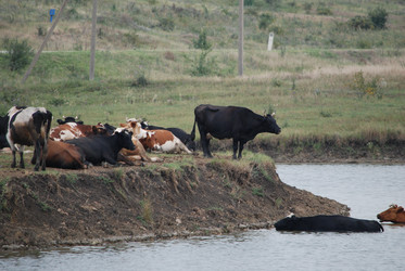 Similar image 22477863