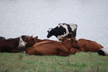 Similar image 22477865