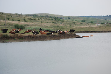 Similar image 22477867