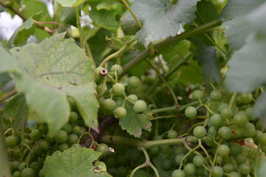 Similar image 22477877