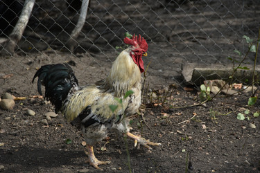 Similar image 22477878