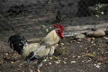 Similar image 22477879