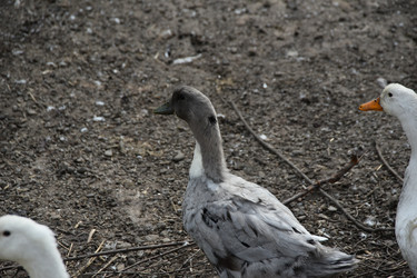 Similar image 22477880