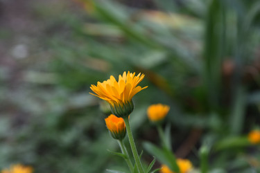 Similar image 22477891