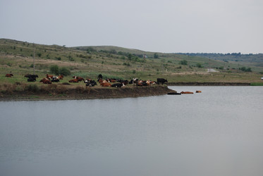 Similar image 22477892