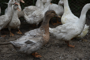 Similar image 22477893