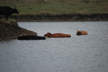 Similar image 22477896