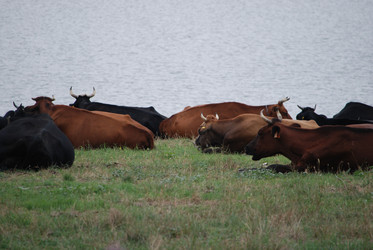 Similar image 22477907