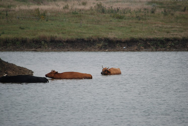 Similar image 22477911