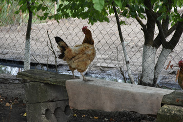 Similar image 22477912