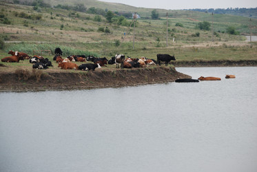 Similar image 22477921