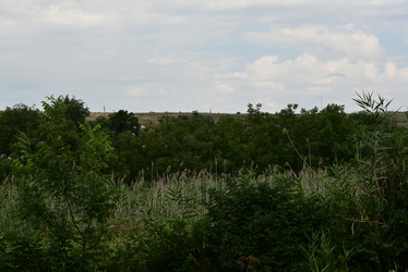 Similar image 22477922