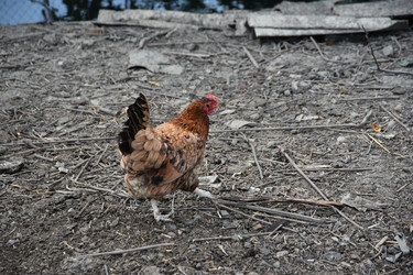 Similar image 22477923