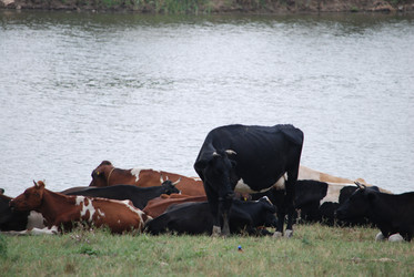 Similar image 22477924