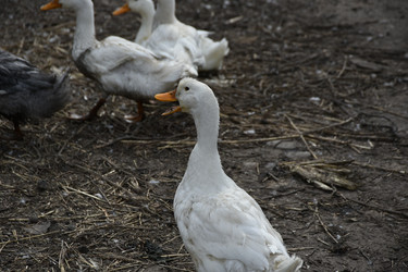 Similar image 22477925