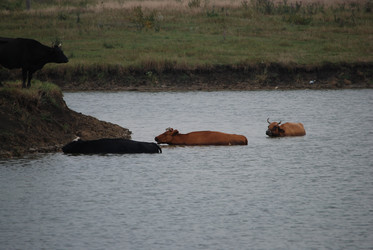 Similar image 22477926