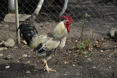 Similar image 22477927