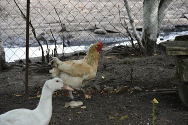 Similar image 22477939