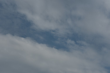 Similar image 22477723