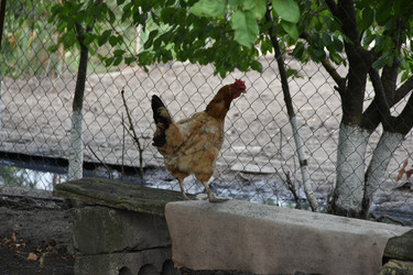 Similar image 22477725