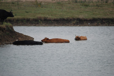 Similar image 22477729