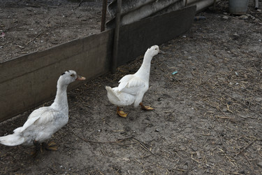 Similar image 22477731