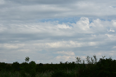 Similar image 22477733