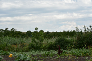 Similar image 22477735