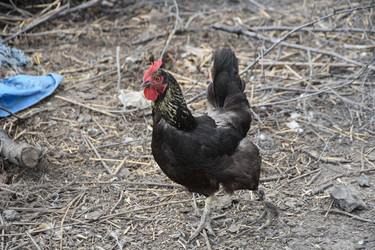 Similar image 22477737