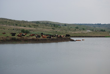 Similar image 22477739