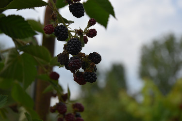 Similar image 22477740