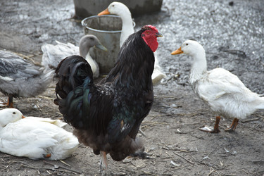 Similar image 22477741