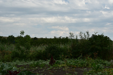 Similar image 22477742