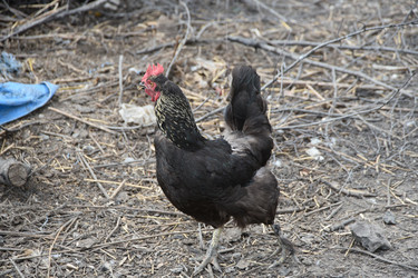 Similar image 22477745